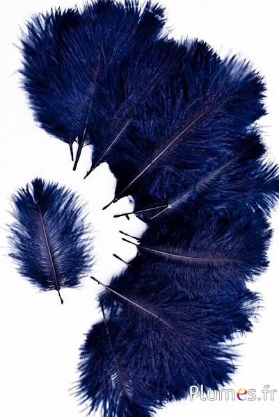 Struisvogel Bellies -8-13 cm - nachtblauw-zwart